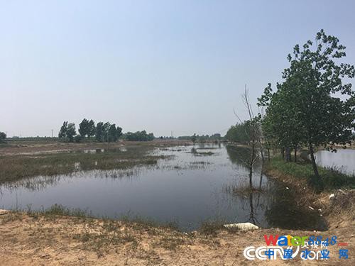 河北回應(yīng)設(shè)備間歇停擺污水直排河流:十人被處分